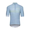 Blue Stone Pineapple Classic Stripe Domestique Men's Jersey