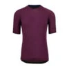 Black Cherry Micromodal Men's Jersey